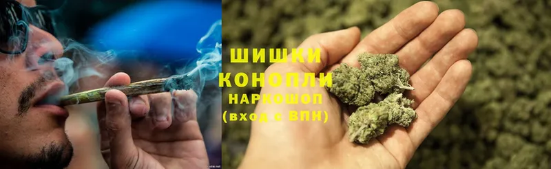 Бошки Шишки THC 21%  как найти закладки  Александров 